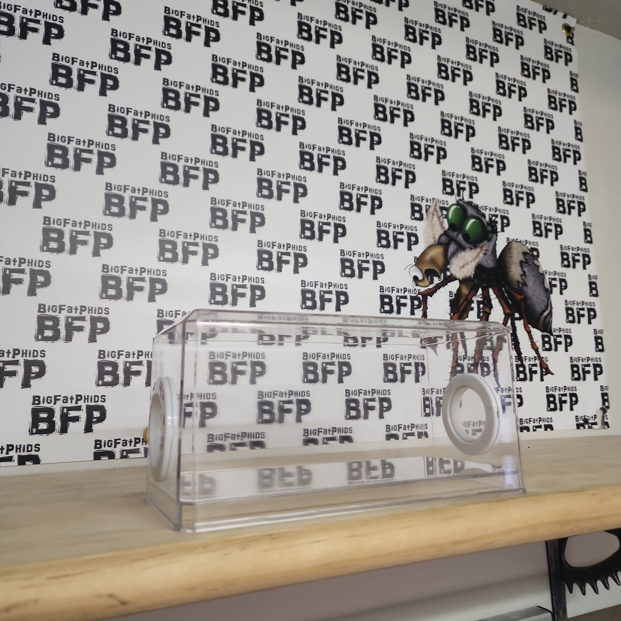 BFP Stinger Stackable Jumping Spider Enclosure