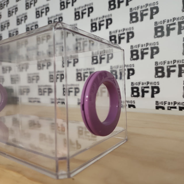 BFP Stinger Stackable Jumping Spider Sling Nursery(holds fruit flies.