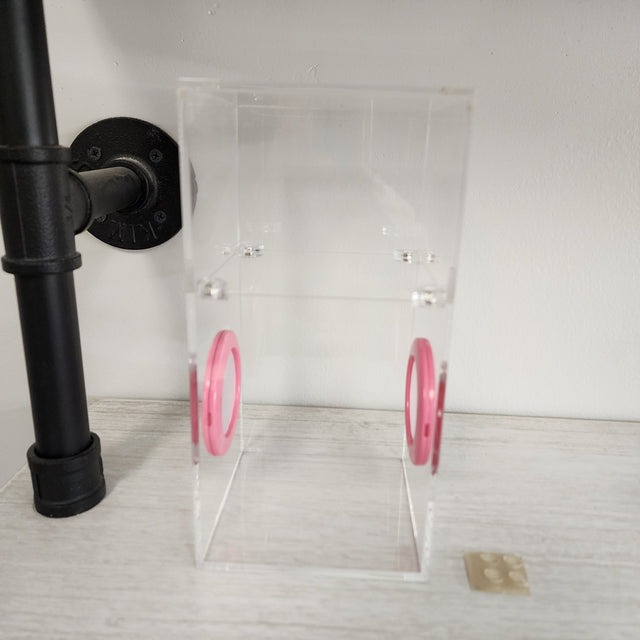 Medium Flat Top Magnetic 4x4x8 Jumping Spider Enclosure (holds fruit flies)