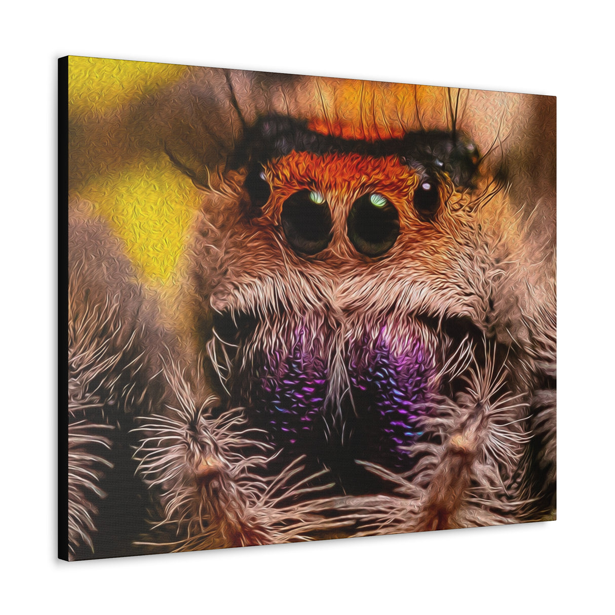 Canvas Gallery Wrap Featuring P. regius Jumping Spider Scene