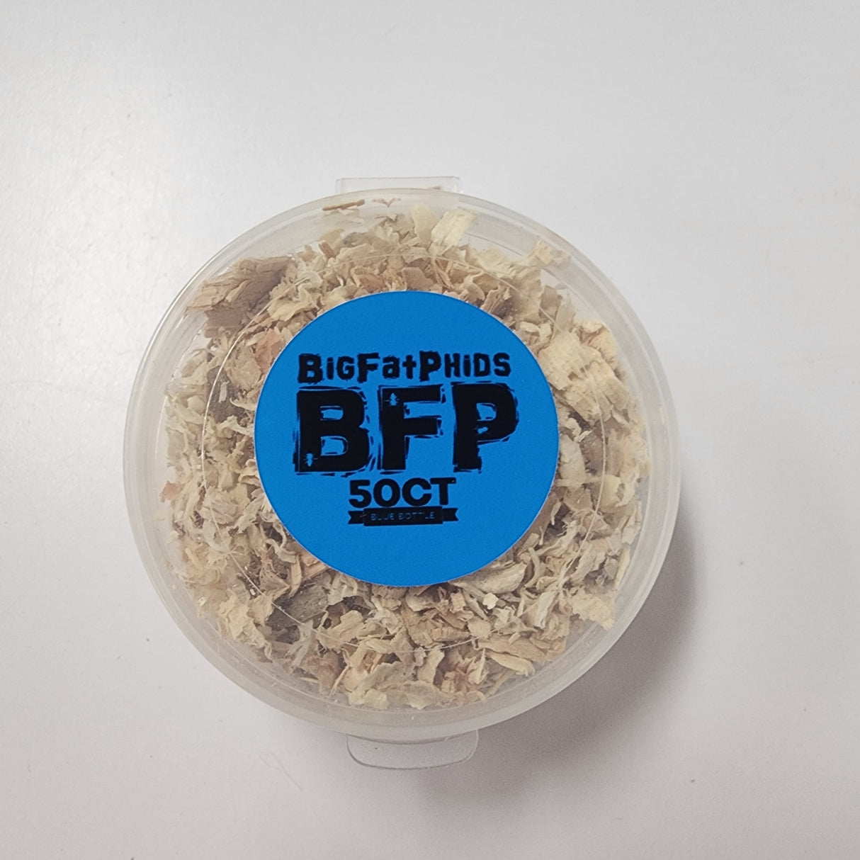 50 packs of blue bottle fly pupae jumping spider feeders food.