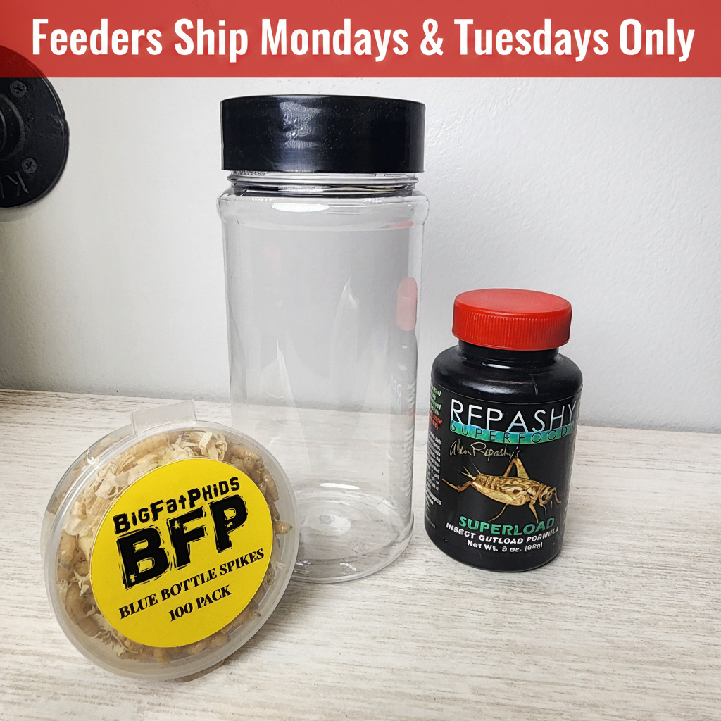 Blue Bottle Spike Bundle - Top Banner