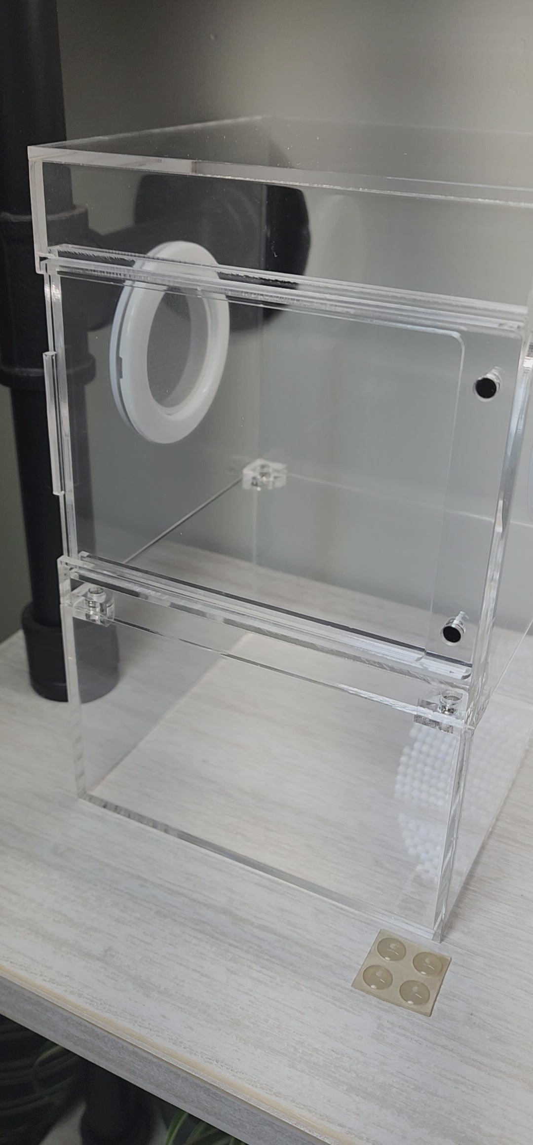 Large Flat Top Magnetic 5x5x8 Front Opening Jumping Spider Enclosure