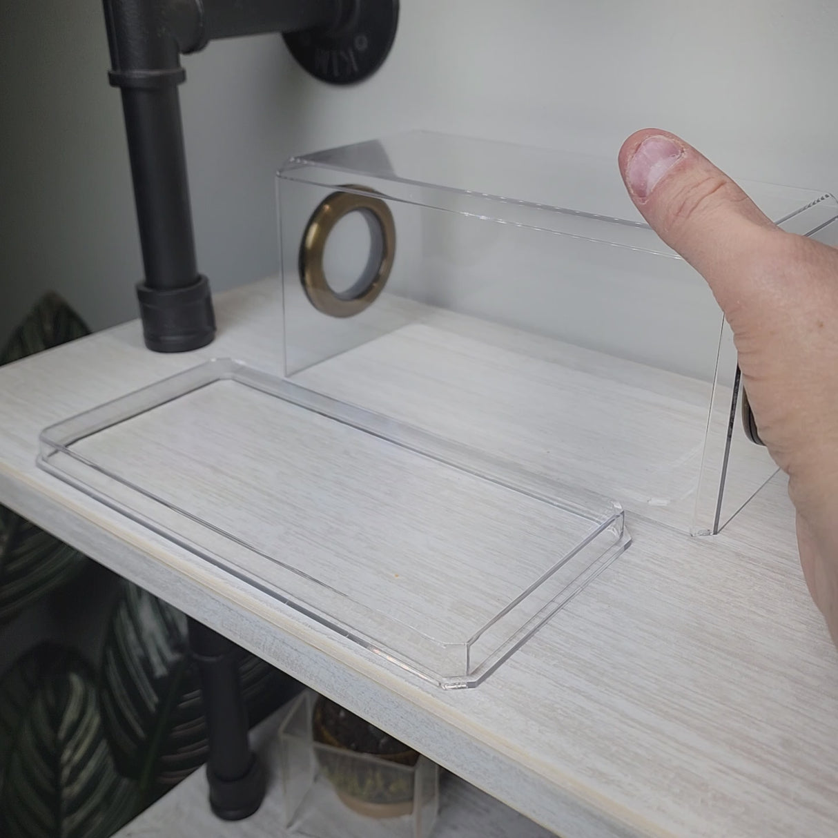 Phid Flat Sling Nursery Jumping Spider Enclosure 8.5x4x4(holds fruit flies)