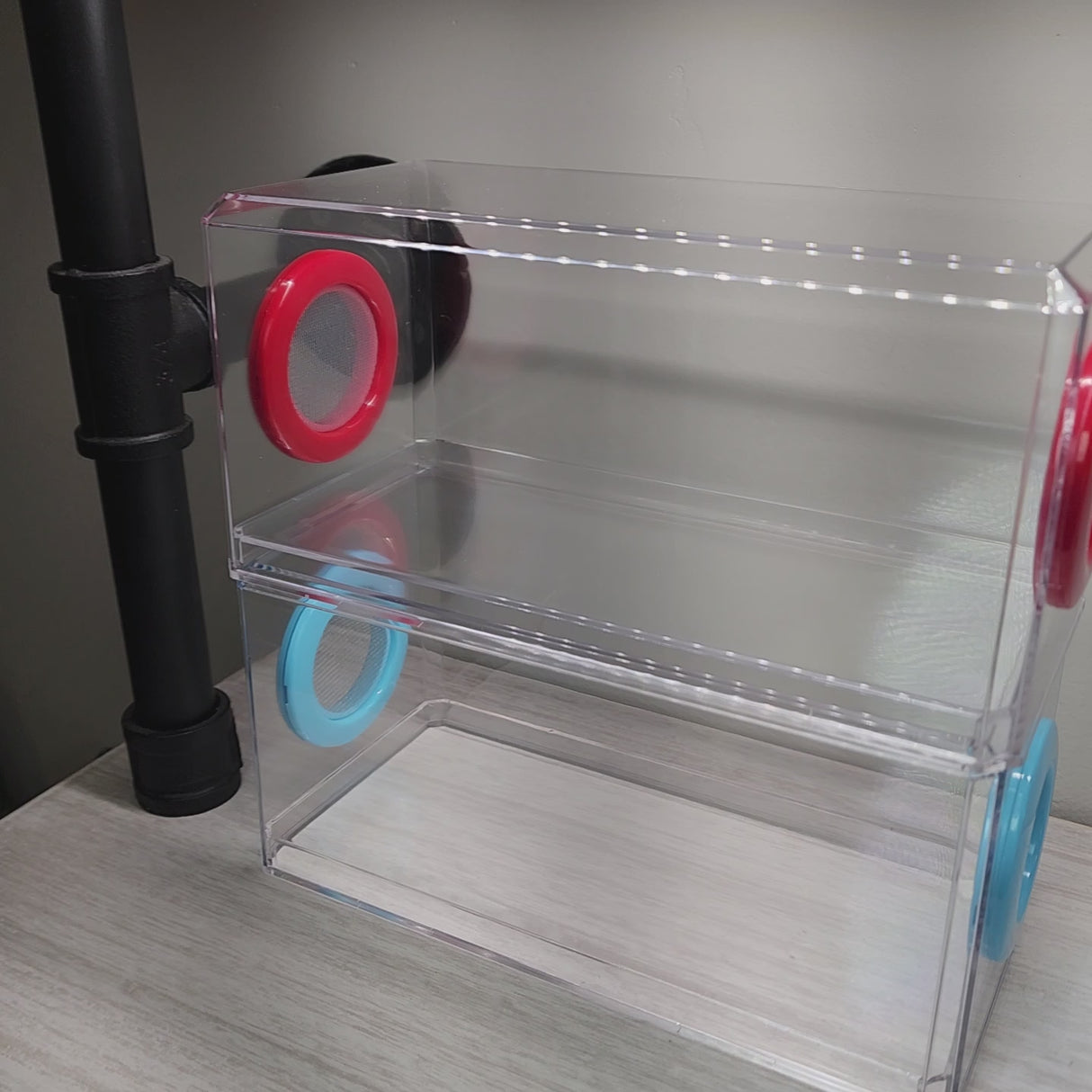 Phid Flat Sling Nursery Jumping Spider Enclosure 8.5x4x4(holds fruit flies)