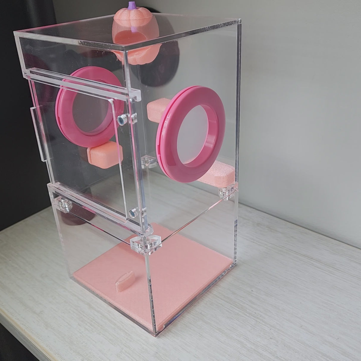 Medium Flat Top 4x4x8 Magnetic Front Opening Jumping Spider Enclosure NEW