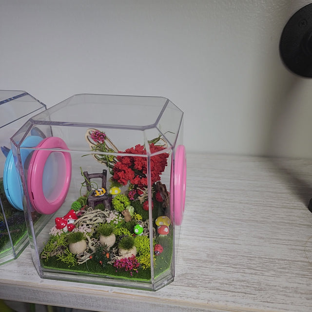 Den Flat Top 4x4x4 Jumping Spider Enclosure (holds fruit flies)