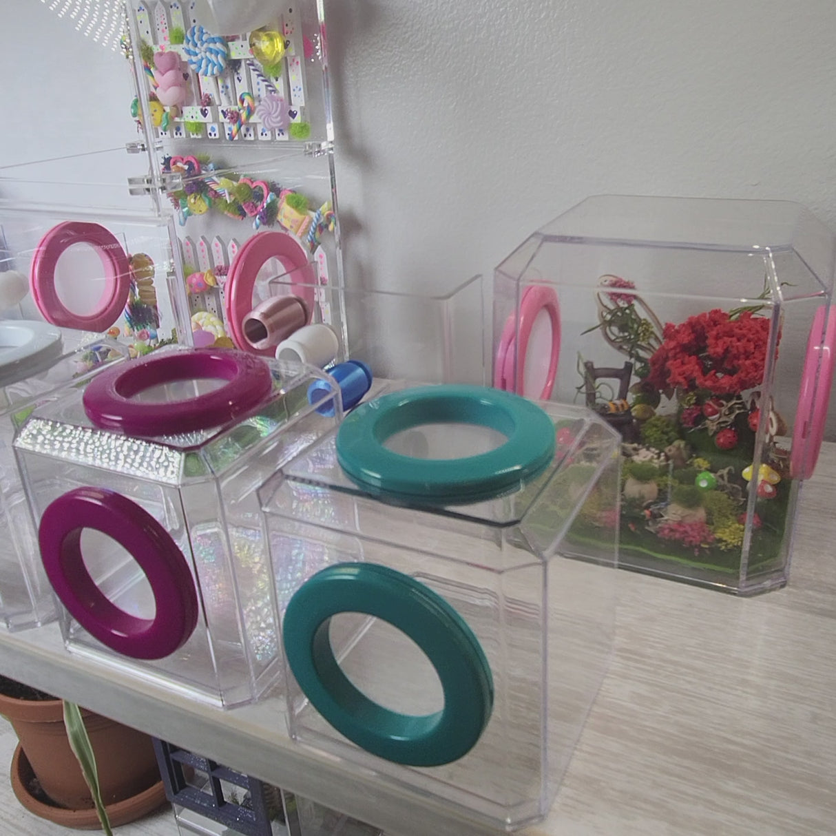 Mini Den Dual Vent 3x3x3 Jumping Spider Enclosure (holds fruit flies)