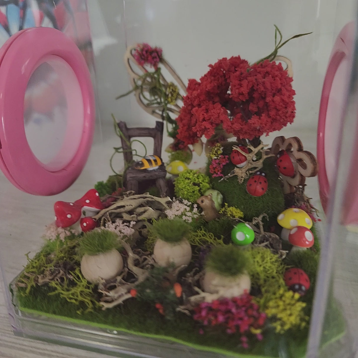 Den Flat Top 4x4x4 Jumping Spider Enclosure (holds fruit flies)