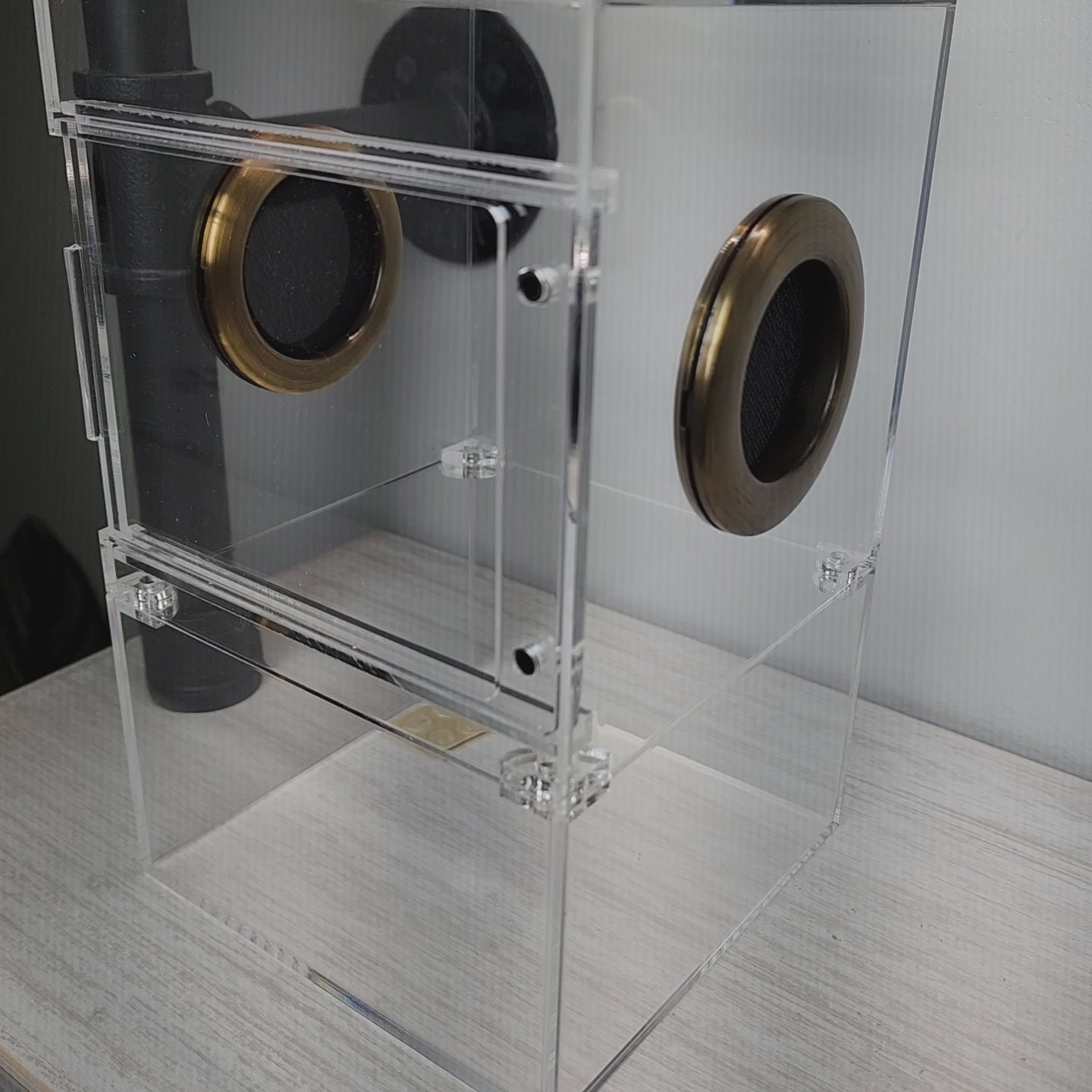 Large Flat Top Magnetic 5x5x8 Front Opening Jumping Spider