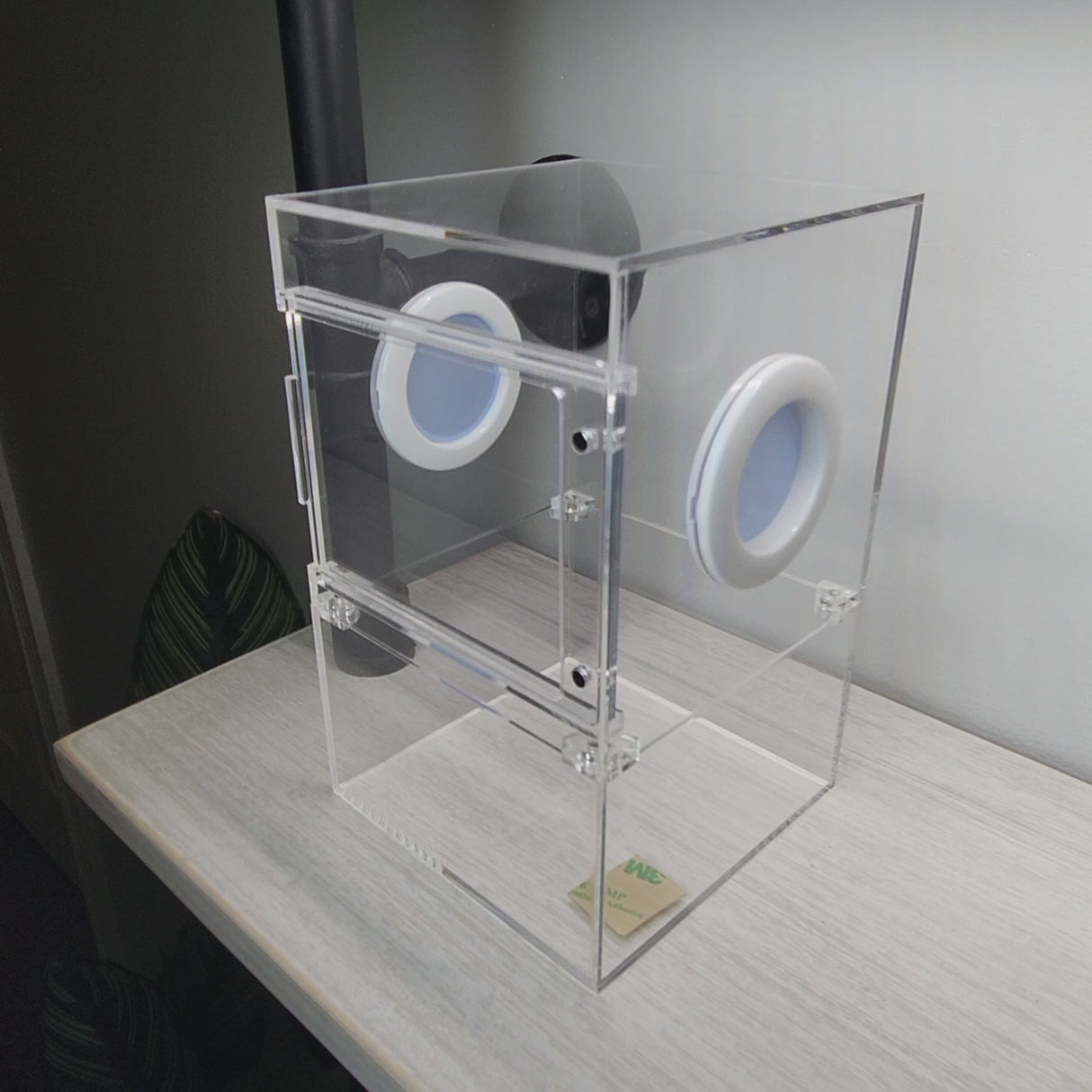 Large Flat Top Magnetic 5x5x8 Front Opening Jumping Spider Enclosure