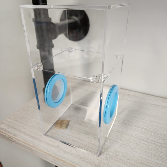 Medium Flat Top Magnetic 4x4x8 Jumping Spider Enclosure (holds fruit flies)