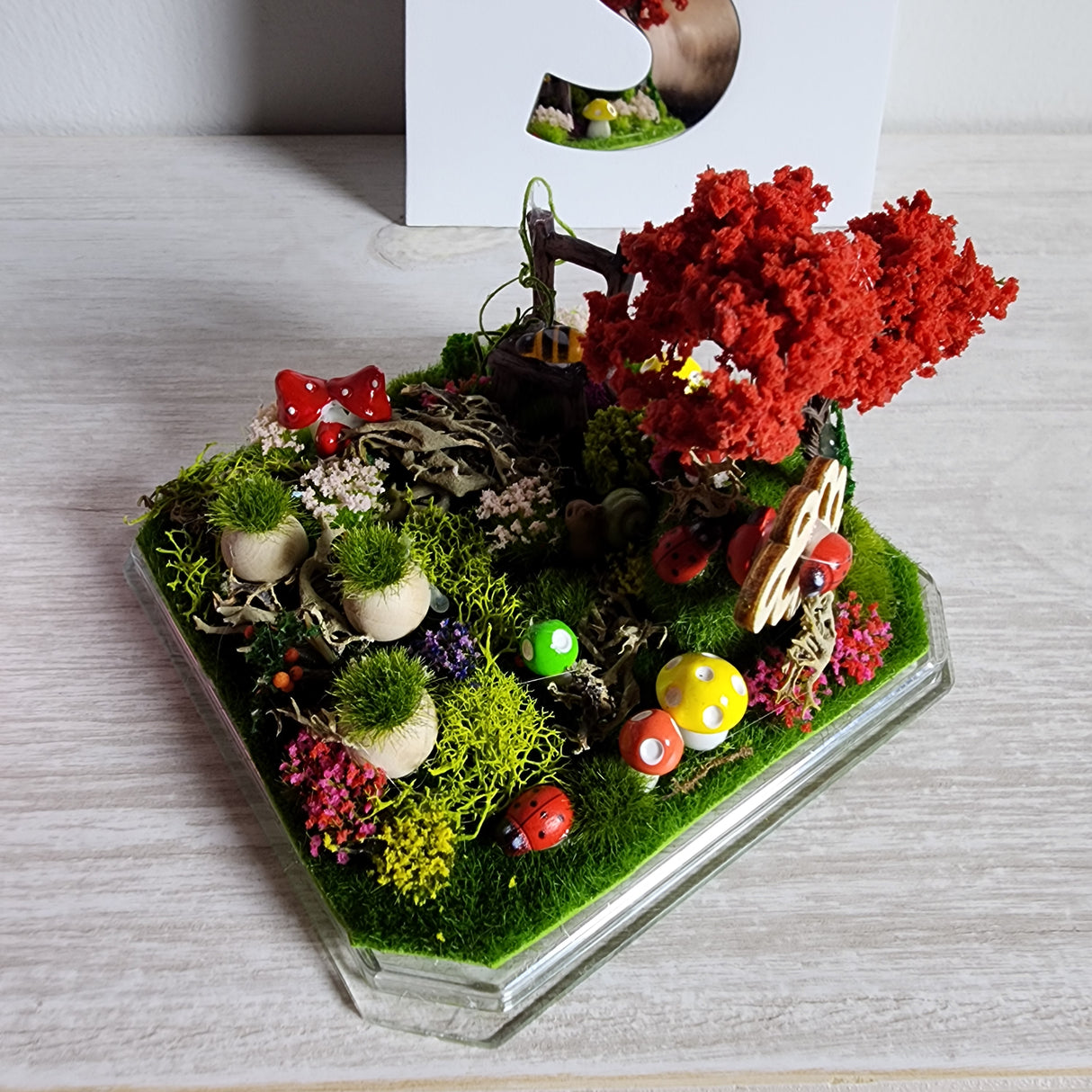 Den Flat Top 4x4x4 Jumping Spider Enclosure (holds fruit flies)