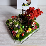 Den Flat Top 4x4x4 Jumping Spider Enclosure (holds fruit flies)