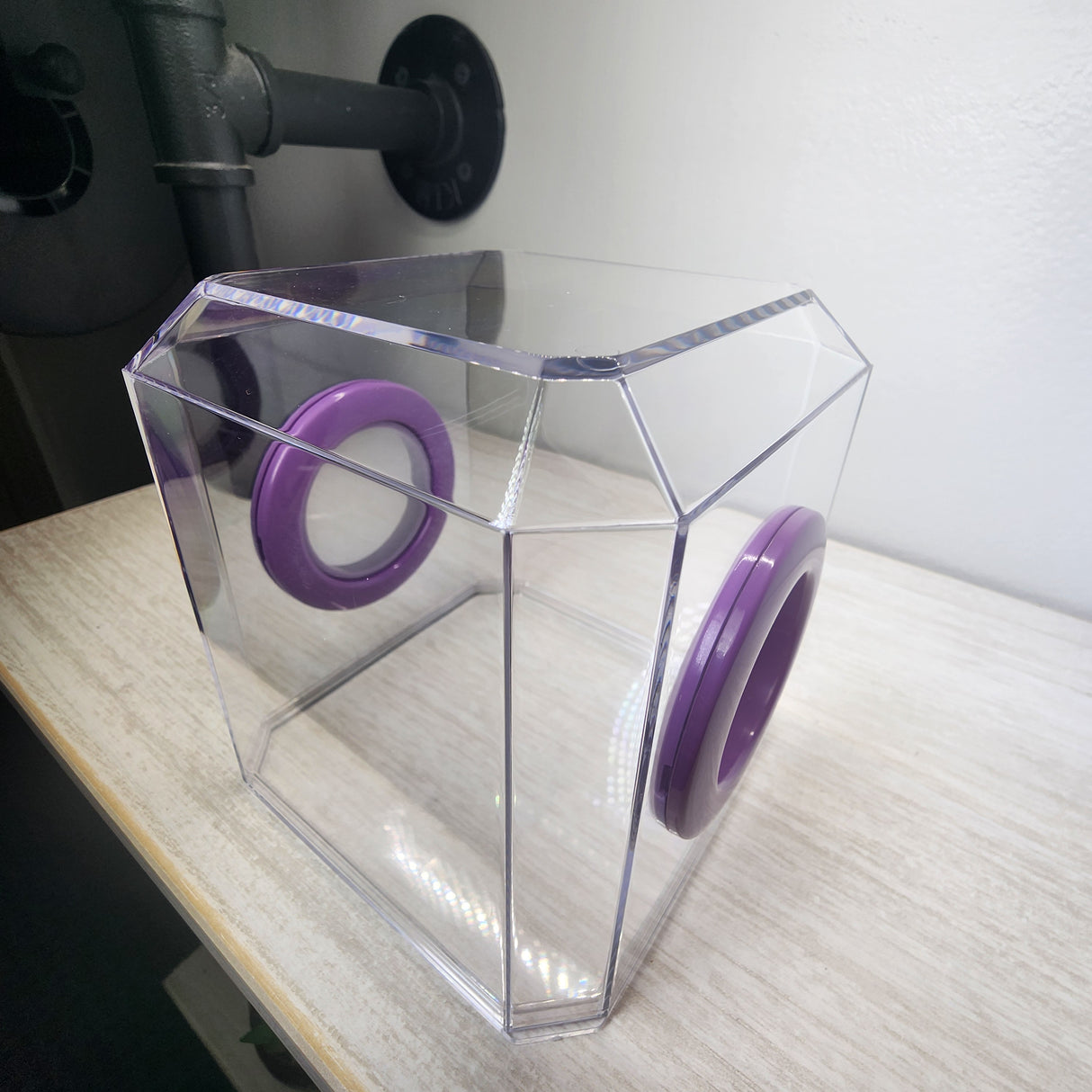 Den Flat Top 4x4x4 Jumping Spider Enclosure (holds fruit flies)