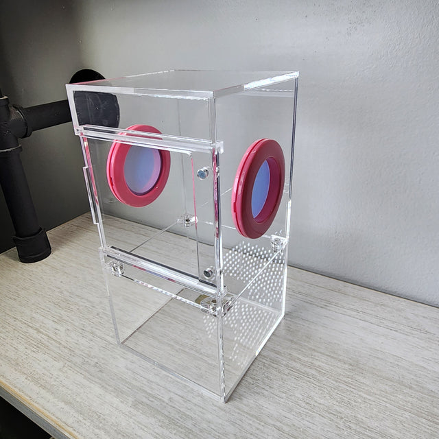 Medium Flat Top 4x4x8 Magnetic Front Opening Jumping Spider Enclosure