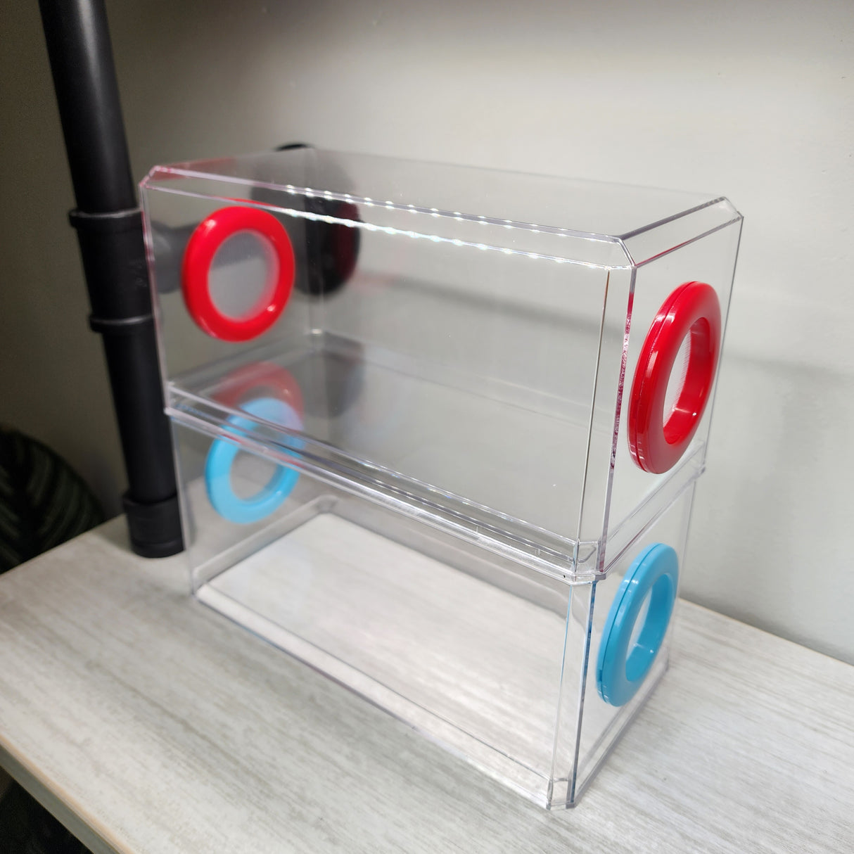 Phid Flat Sling Nursery Jumping Spider Enclosure 8.5x4x4(holds fruit flies)