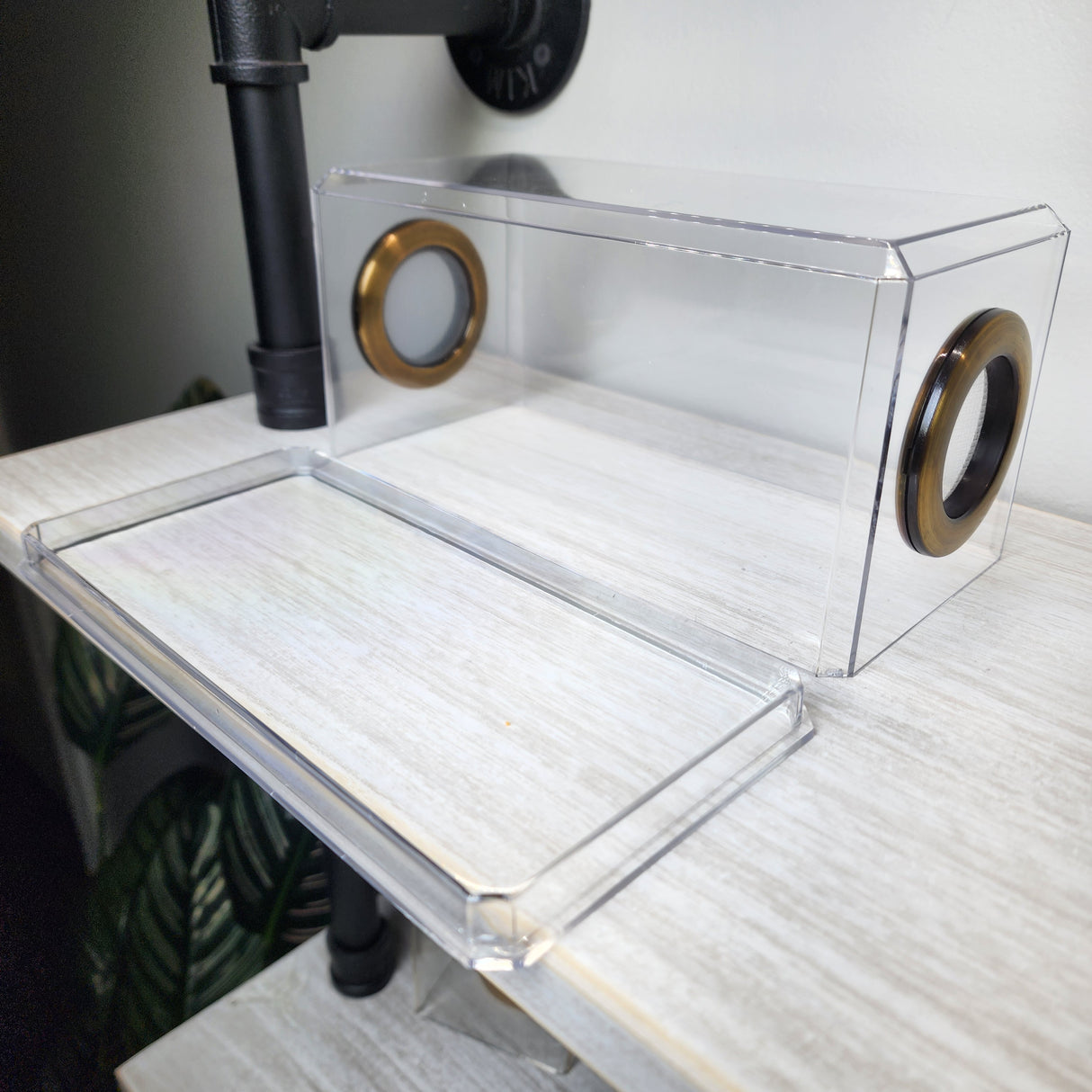 Phid Flat Sling Nursery Jumping Spider Enclosure 8.5x4x4(holds fruit flies)