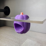 Baby Pumpkin Nesting Hides for Jumping Spiders