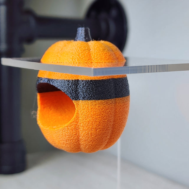 Screaming Pumpkin Nesting Hide for Jumping Spiders