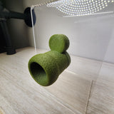 Spy Hides for Jumping Spiders