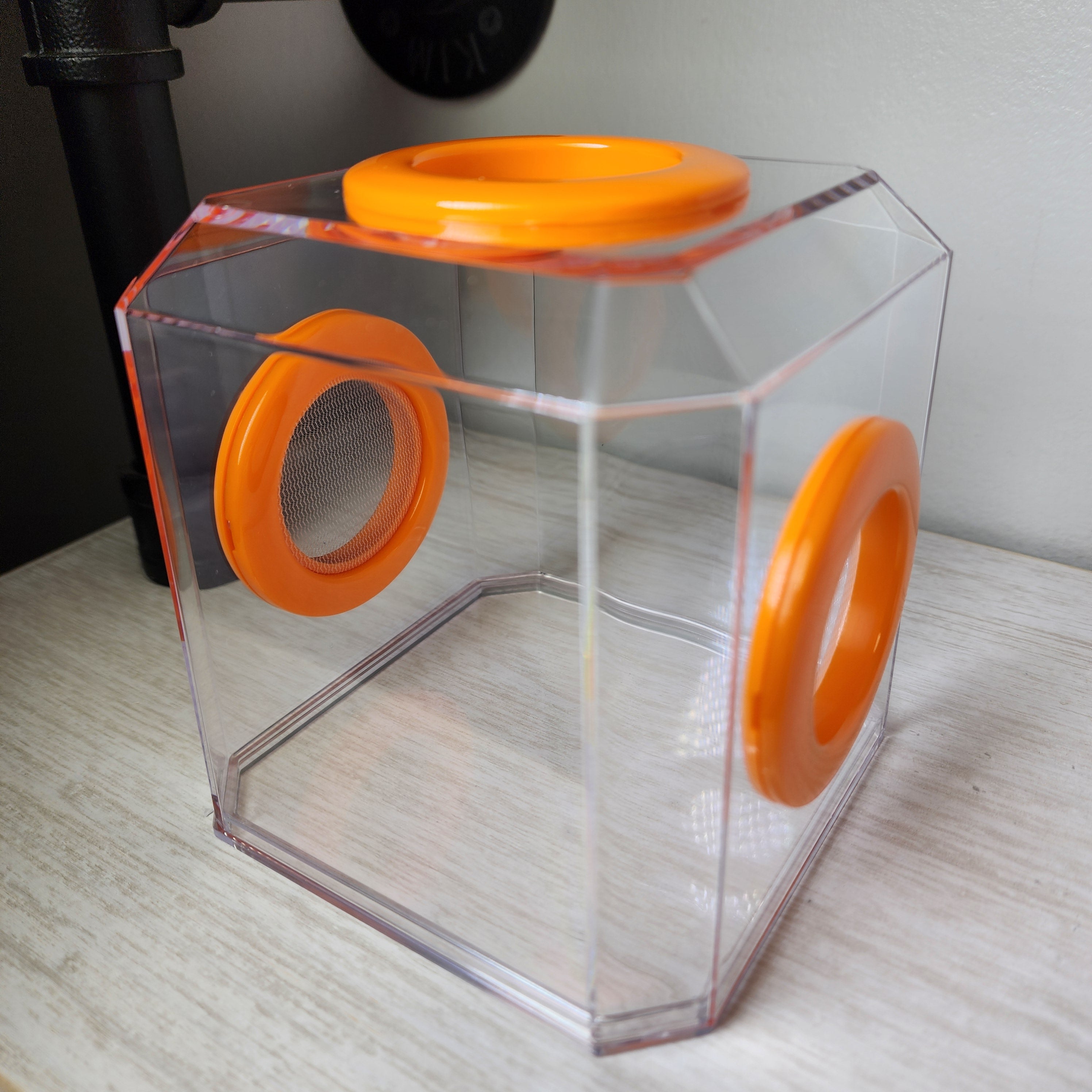 Den Tri Vent 4x4x4 Jumping Spider Enclosure | BigFATPhids