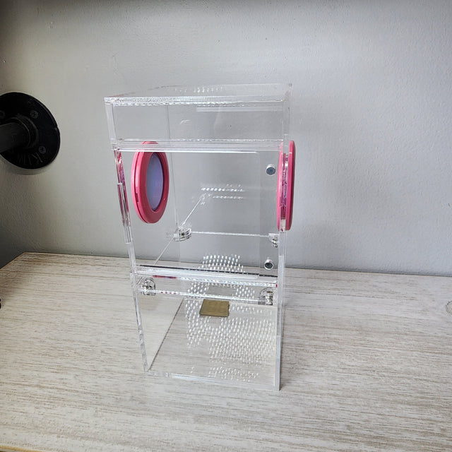 Medium Flat Top 4x4x8 Magnetic Front Opening Jumping Spider Enclosure