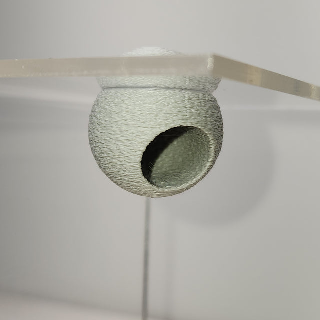 Textured Disco Ball Hide - Magnetic Spider Hide for Jumping Spiders