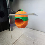 Screaming Pumpkin nesting hides for Jumping Spiders