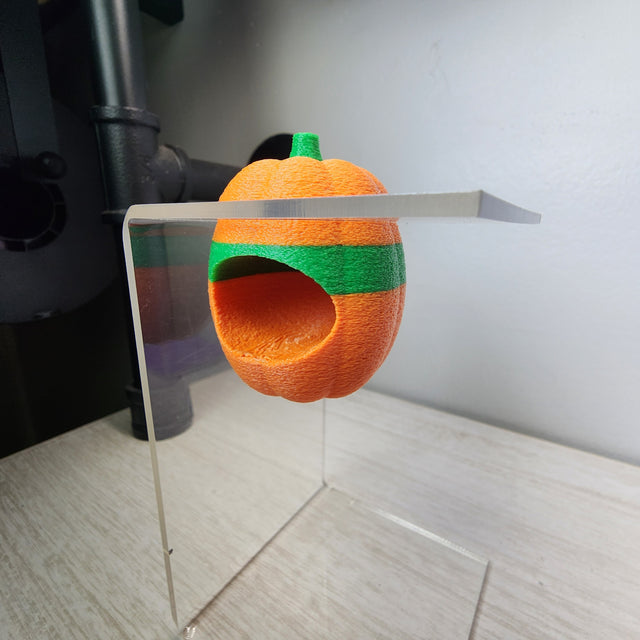 Screaming Pumpkin Nesting Hide for Jumping Spiders