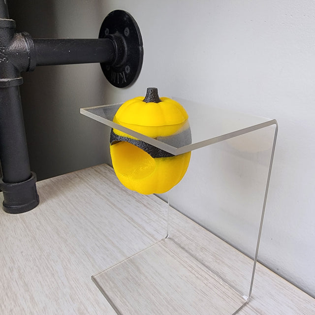 Screaming Pumpkin Nesting Hide for Jumping Spiders