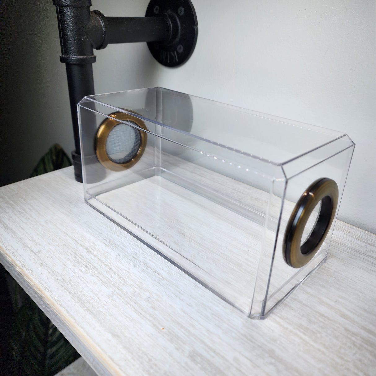 Phid Flat Sling Nursery Jumping Spider Enclosure 8.5x4x4(holds fruit flies)