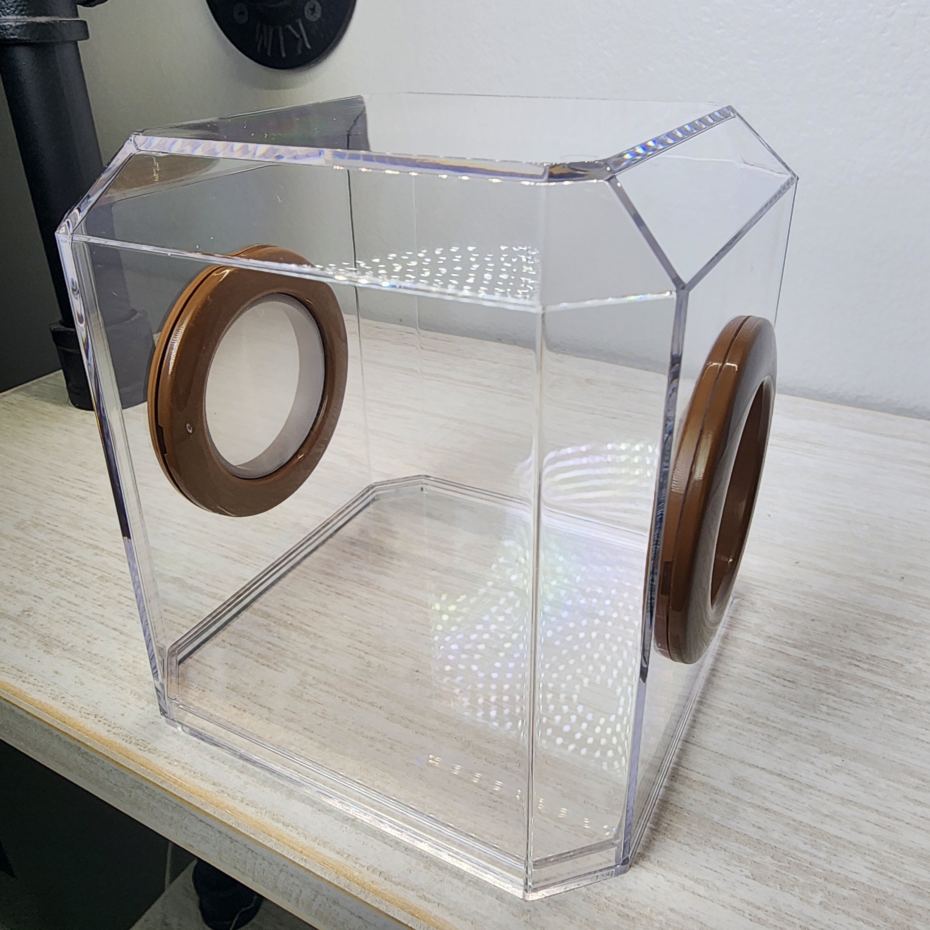 Den Flat Top 4x4x4 Jumping Spider Enclosure | BigFATPhids