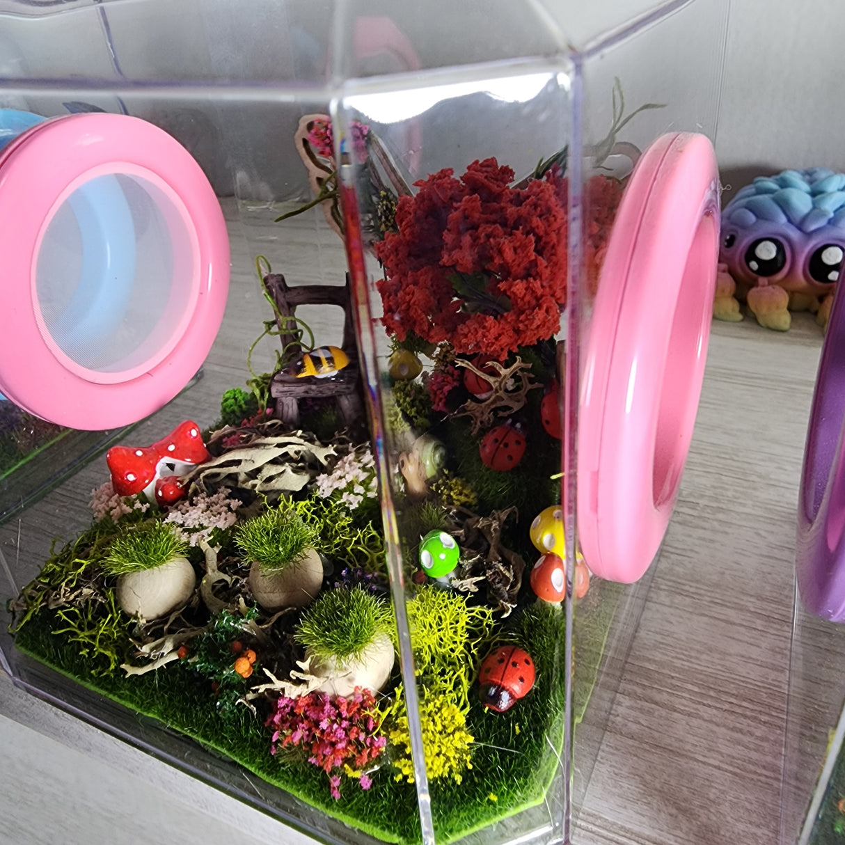 Den Flat Top 4x4x4 Jumping Spider Enclosure (holds fruit flies)