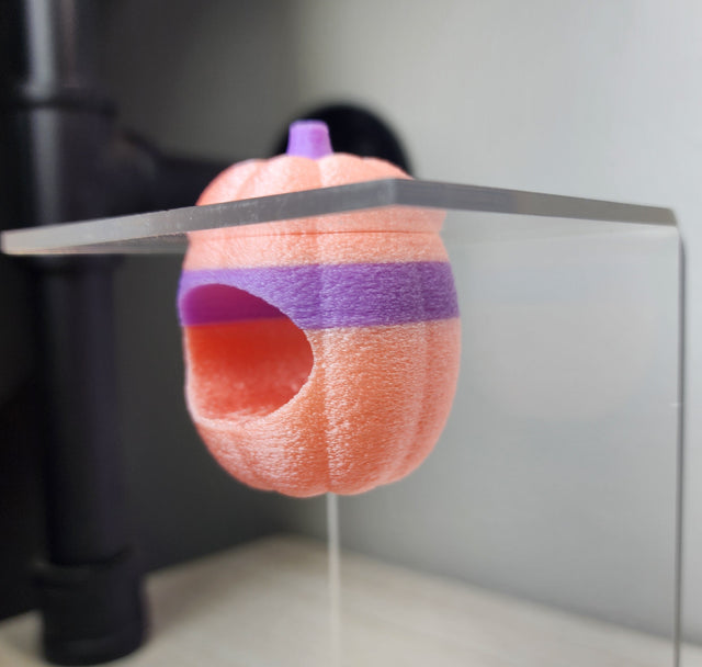 Screaming Pumpkin Nesting Hide for Jumping Spiders