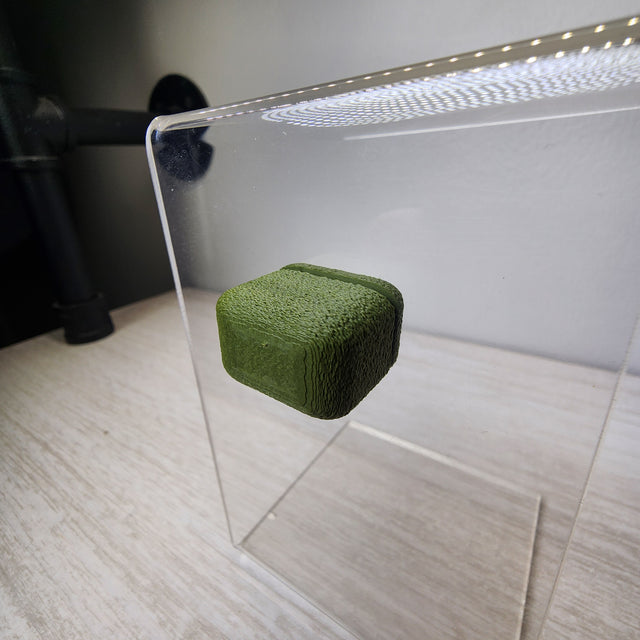 Fuzzy Block Decor for Jumping Spiders 1 and 4 CT