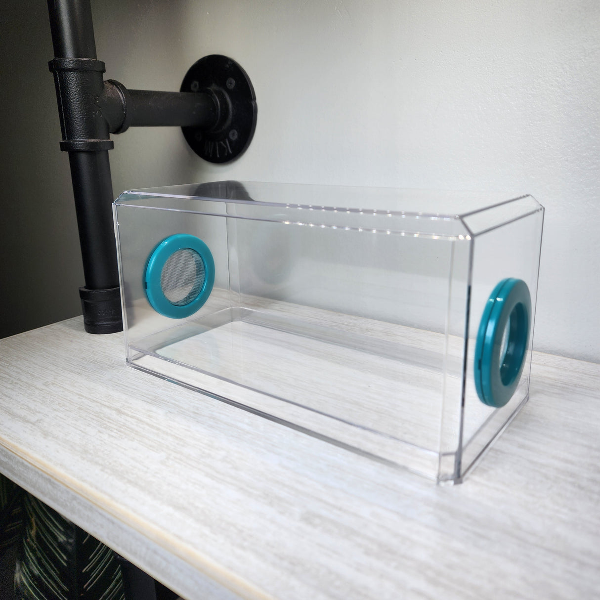 BFP Stinger Stackable Jumping Spider Sling Nursery(holds fruit flies.