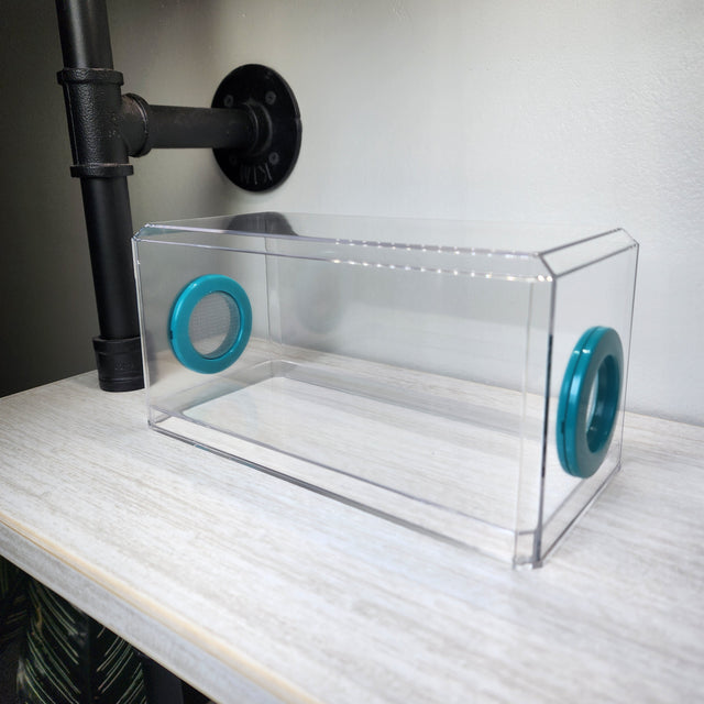 BFP Stinger Stackable Jumping Spider Sling Nursery(holds fruit flies.