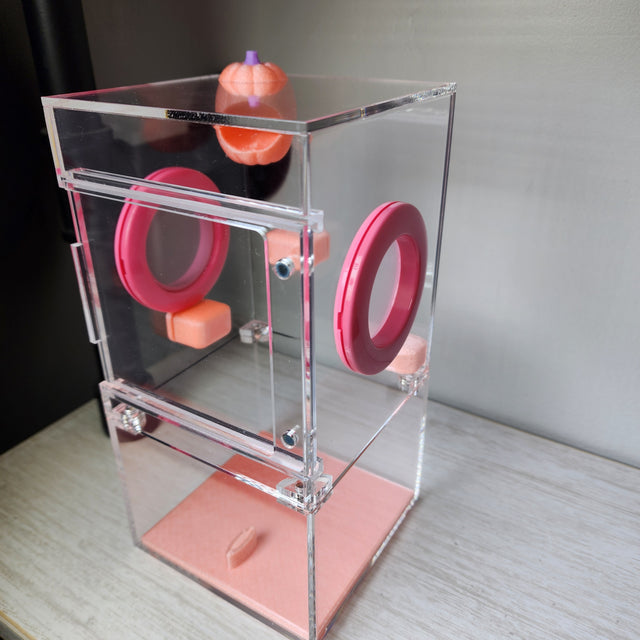 Medium Flat Top 4x4x8 Magnetic Front Opening Jumping Spider Enclosure