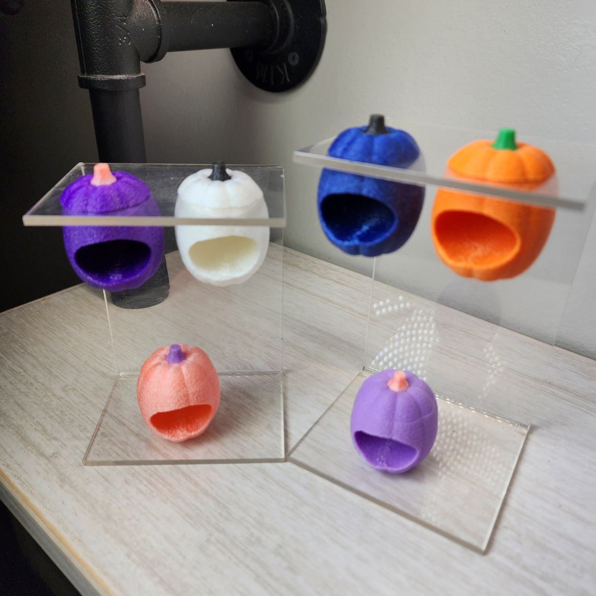 Baby Pumpkin Nesting Hides for Jumping Spiders