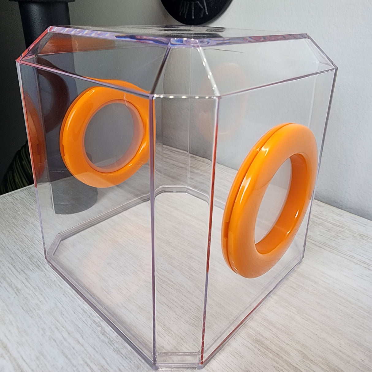 Den Flat Top 4x4x4 Jumping Spider Enclosure (holds fruit flies)