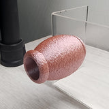 Fuzzy Bumble Jumping Spider HIdes in 2 sizes and several colors