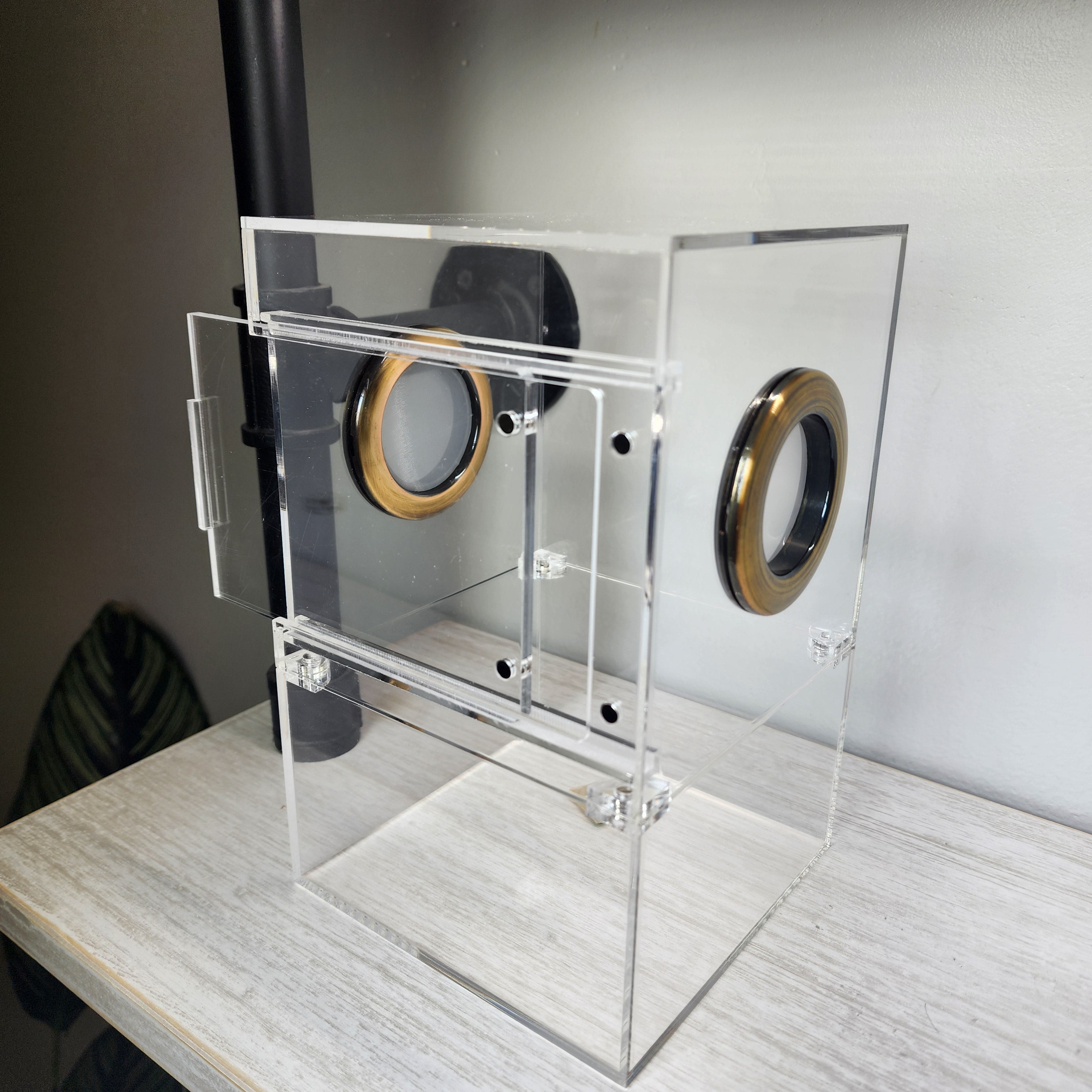 Large 5x5x8 Magnetic Jumping Spider Enclosure | BigFATPhids