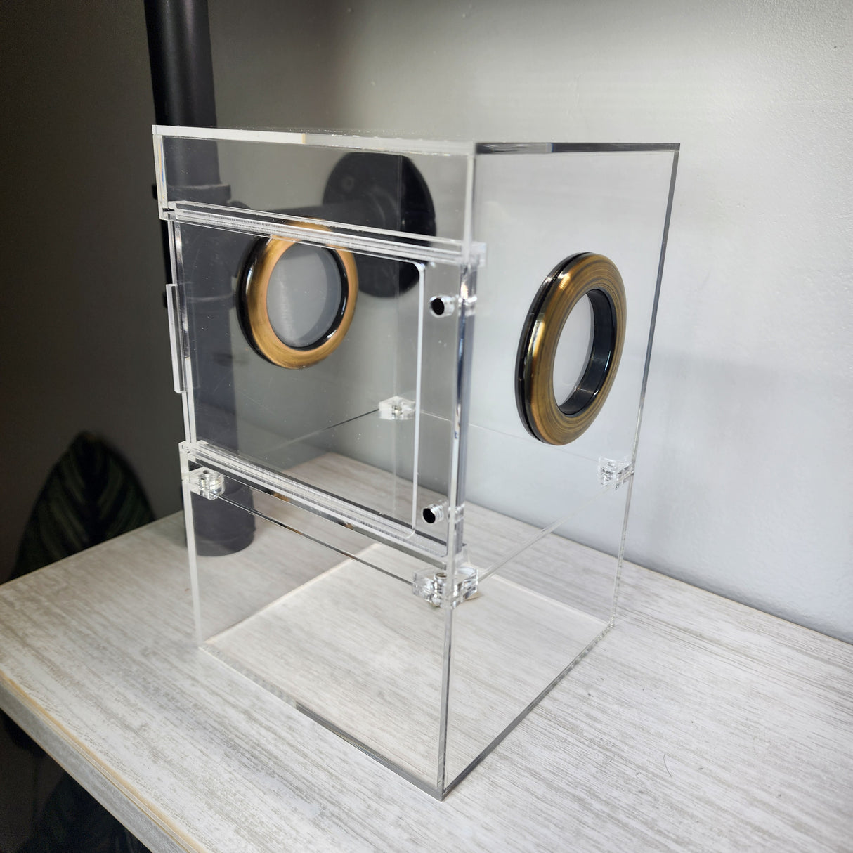 Large Flat Top Magnetic 5x5x8 Front Opening Jumping Spider Enclosure