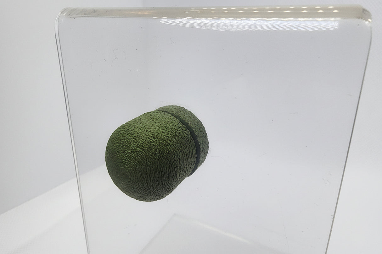 Mini Dome Spoody Perch in 1 or 4 pack