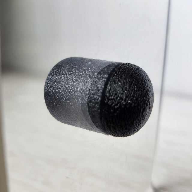 Cosmic Egg Jumping Spider Perch