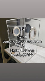 Large Flat Top Magnetic 5x5x8 Front Opening Jumping Spider Enclosure