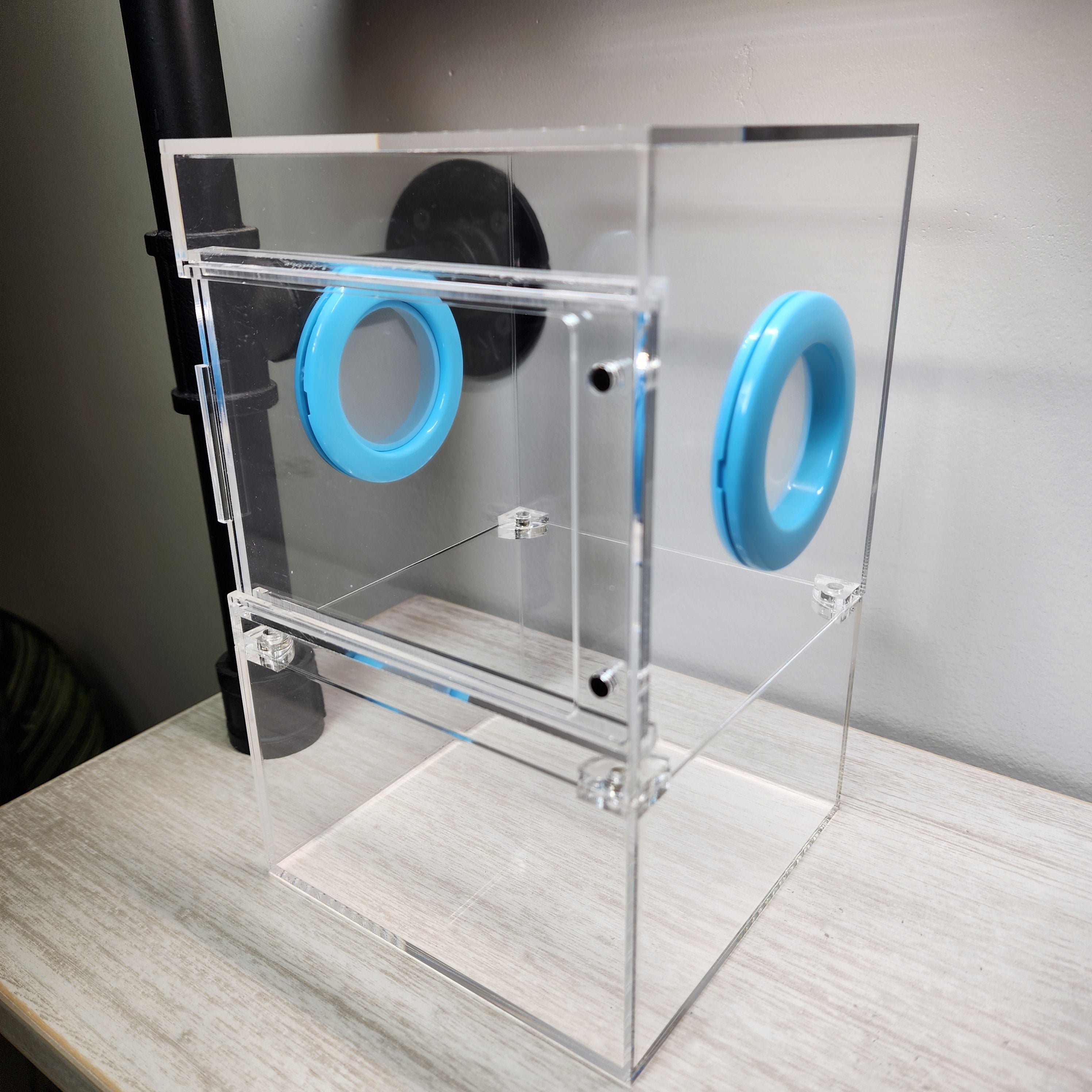 Large Flat Top Magnetic 5x5x8 Front Opening Jumping Spider