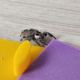 Removable floor insert for the 4x4x8 Magnetic Flat Top