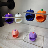 Baby Pumpkin Nesting Hides for Jumping Spiders